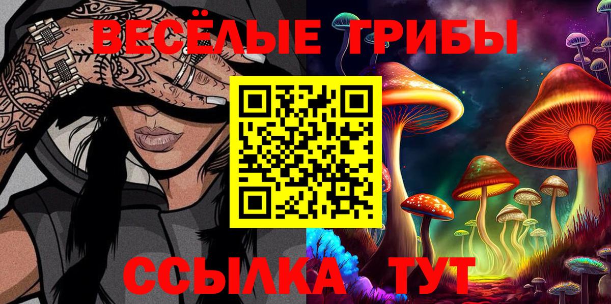 Елизово  Псилоцибиновые грибы Cubensis  Вход с VPN  Псилоцибиновые грибы Psilocybe 