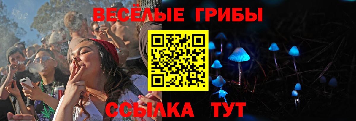 Галлюциногенные грибы MAGIC MUSHROOMS Елизово
